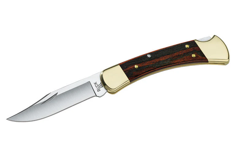 Buck Knives 110 Folding Hunter®Knife