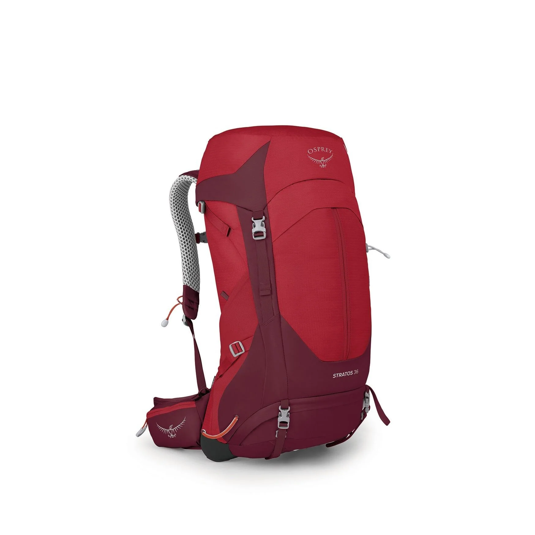OSPREY STRATOS 36 w/raincover - Image 2